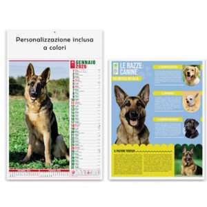 Calendari olandesi modello cani e gatti stampa a colori personalizzata gratis gadget