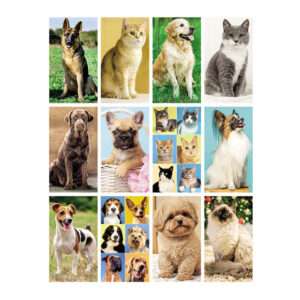 Calendari olandesi modello cani e gatti stampa a colori personalizzata gratis gadget - immagine 2
