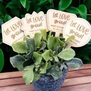 Topper in legno personalizzato per piantine idea bomboniera originale per ogni occasione - immagine 3